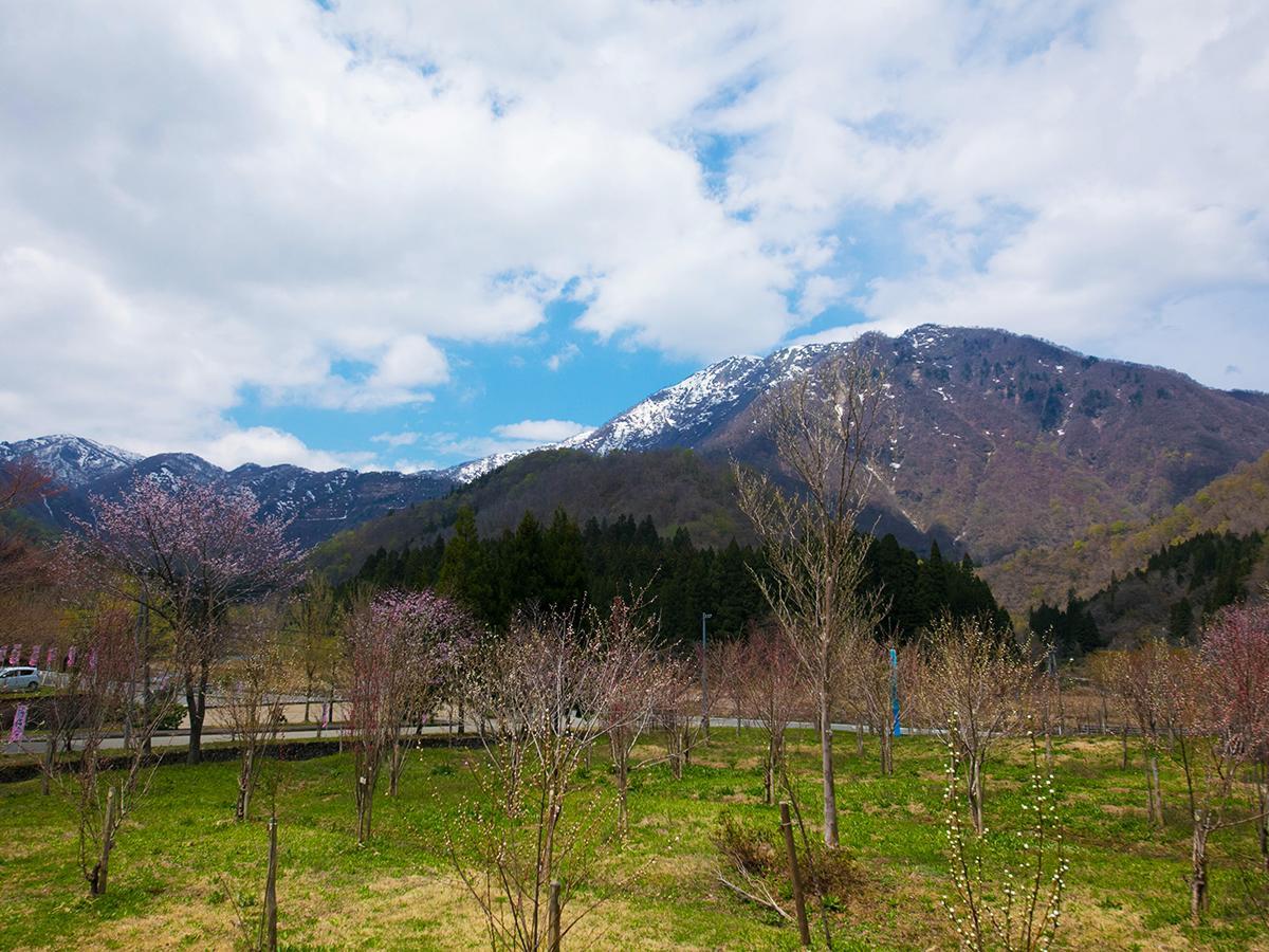 Hotel Furearu Izumi Ono  Экстерьер фото
